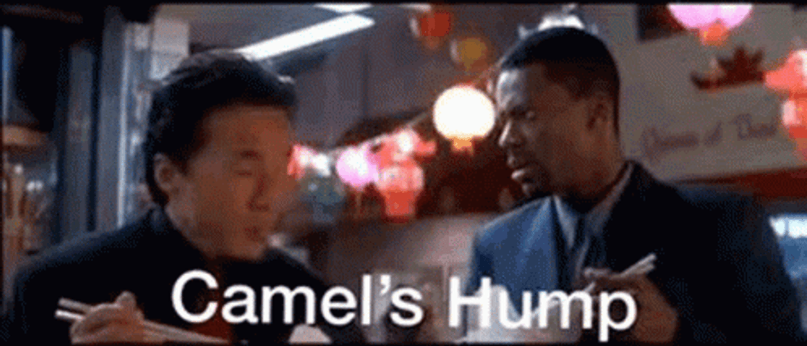 Rush Hour Camel's Hump GIF
