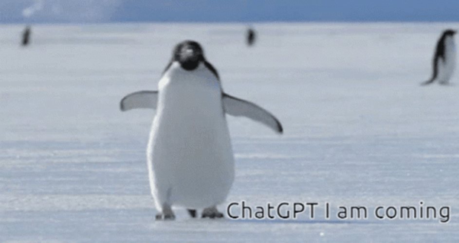 Rushing Penguin Chatgpt I'm Coming Parody GIF