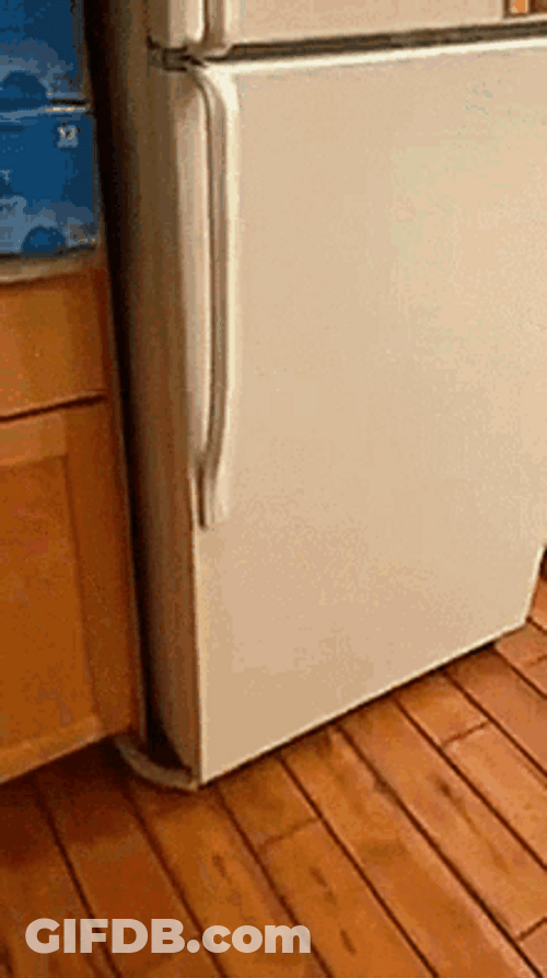 Russian Funny Mascot Squat Dance GIF