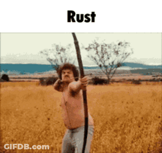 Rust Funny Drama GIF