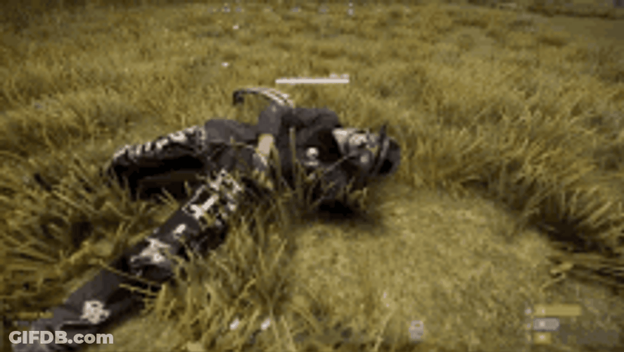 Rust Player Sleeping GIF