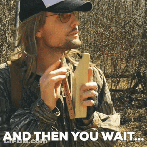 Rut Daniels Timber Hunting Deer GIF