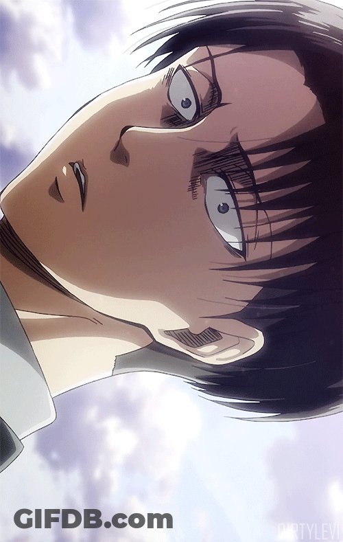 Ruthless Soldier Levi Ackerman GIF