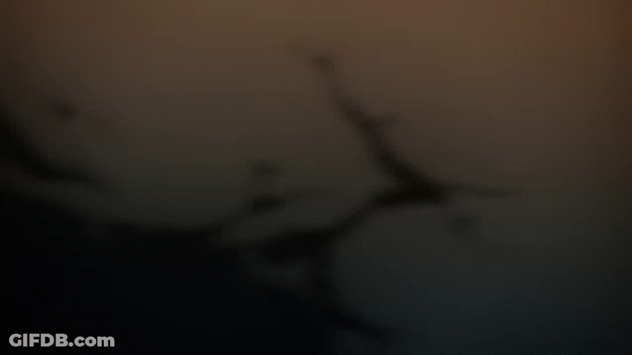 Ruthless Warfare Fight Tengen Vs Gyutaro GIF