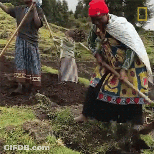 Rwanda Family Planting GIF