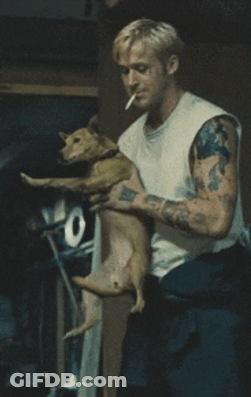 Ryan Gosling Dancing While Carrying Dog GIF