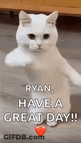 Ryan Have A Great Day GIF