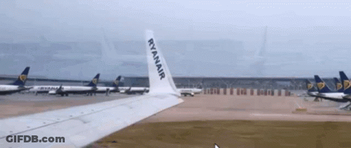 Ryanair Planes Lined Up On Tarmac GIF