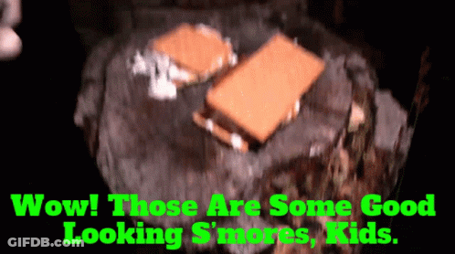 S'mores On Rock Saying Wow Those Are Some Good Looking S'mores Kids GIF