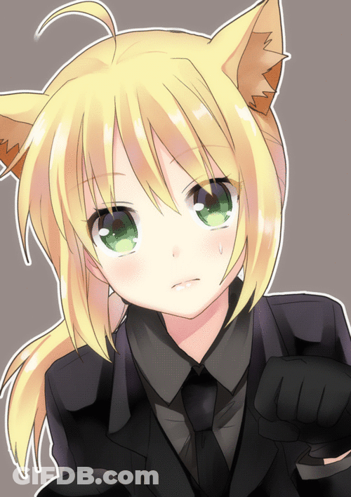 Saber Artoria Pendragon Fate Stay Kitty GIF