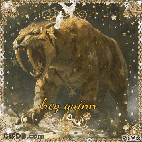 Saber Toothed Tiger Saying Hey Quinn GIF
