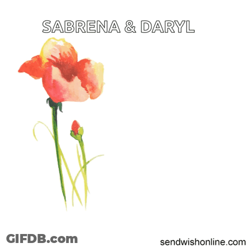 Sabrena And Daryl Have A Wonderful Anniversary With A Flower GIF