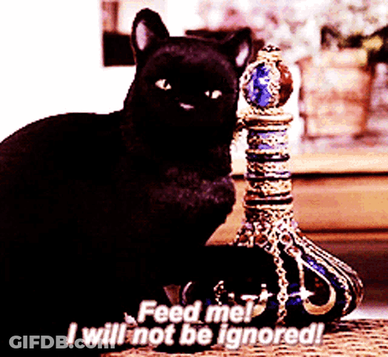 Sabrina The Teenage Witch Salem Saberhagen GIF