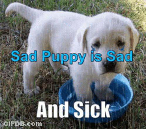 Sad And Sick Puppy With Bowl Of Water GIF