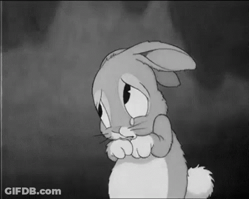 Sad Black And White Bunny In Dark Room GIF