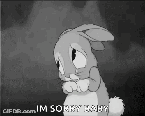 Sad Bunny Rabbit Saying Im Sorry Baby GIF