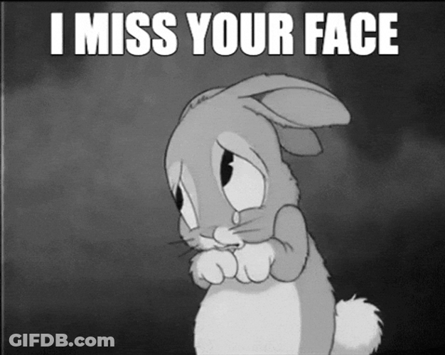 Sad Bunny Said I Miss You Already GIF