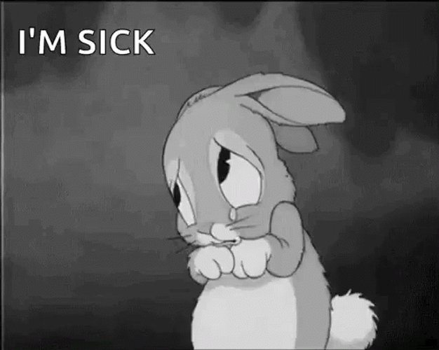 Sad Bunny Sick Crying GIF