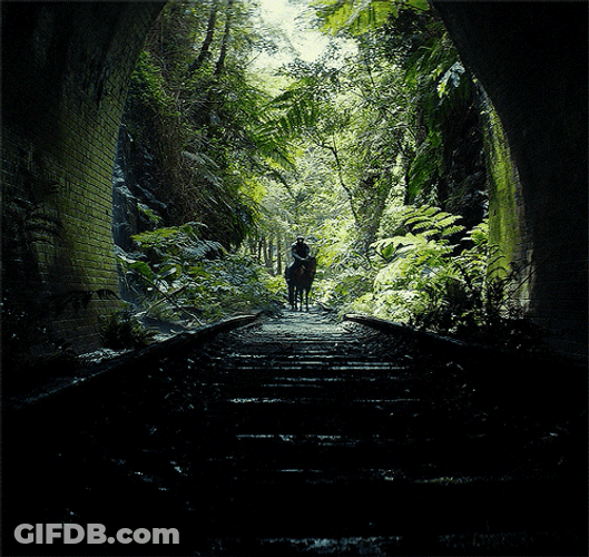 Sad Caesar Leaving The Place GIF