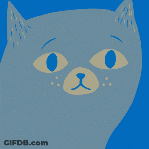 Sad Cat Animated Crying GIF
