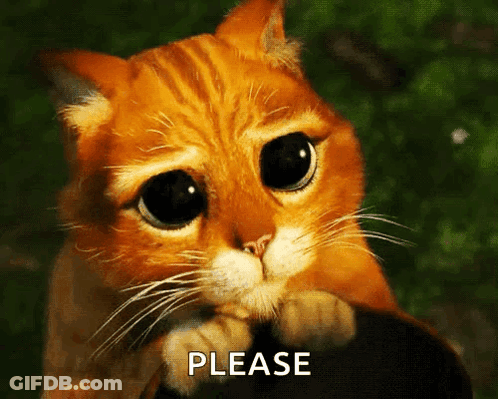 Sad Cat Asking Please GIF