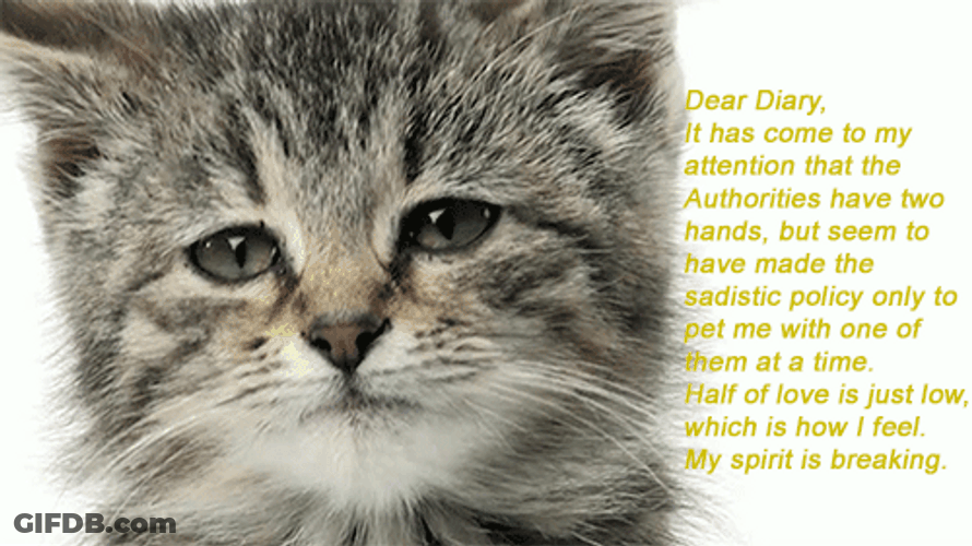 Sad Cat Dear Diary Entry GIF