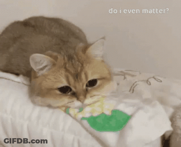Sad Cat Depressed Question GIF