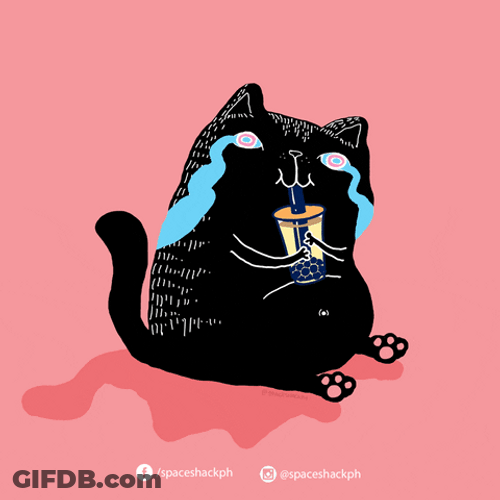 Sad Cat Drinking Boba Tea GIF