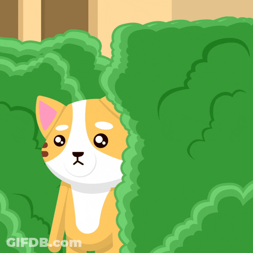 Sad Cat Hiding Bush GIF