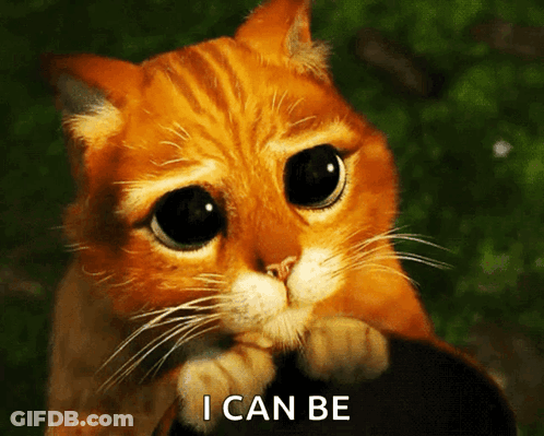 Sad Cat I Can Be GIF