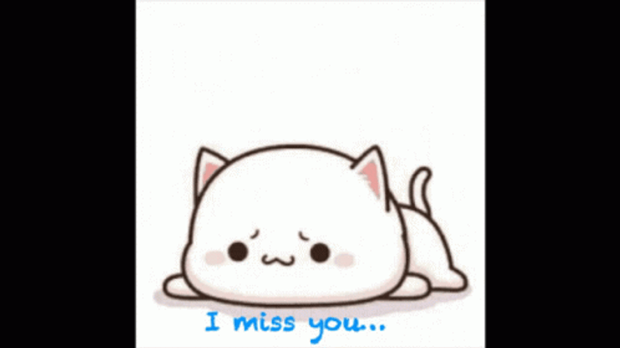 Sad Cat I Miss You GIF