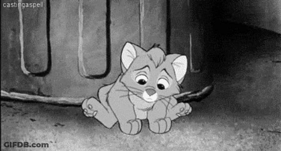 Sad Cat Oliver Thrown Away GIF