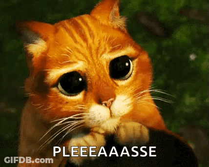 Sad Cat Pleeeaasse GIF