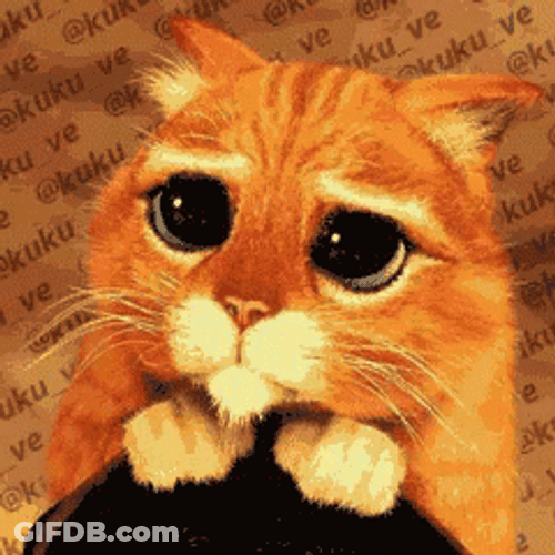 Sad Cat Puss In Boots Googly Eyes GIF