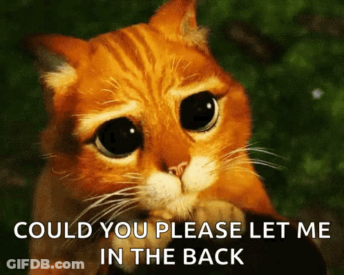 Sad Cat Saying Let Me In GIF