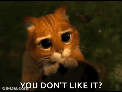 Sad Cat Saying You Don't Like It GIF