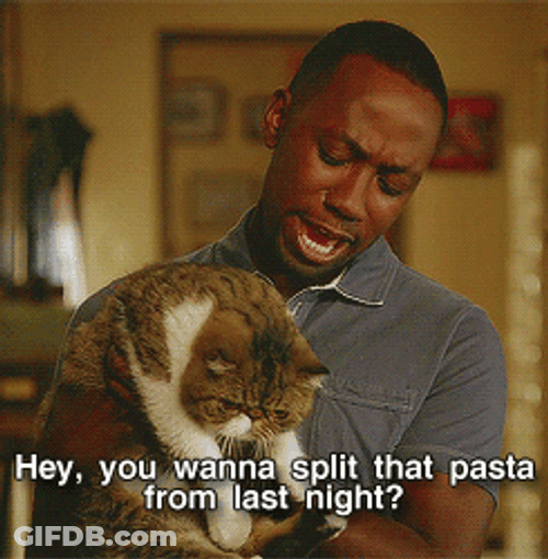Sad Cat Splitting The Pasta GIF