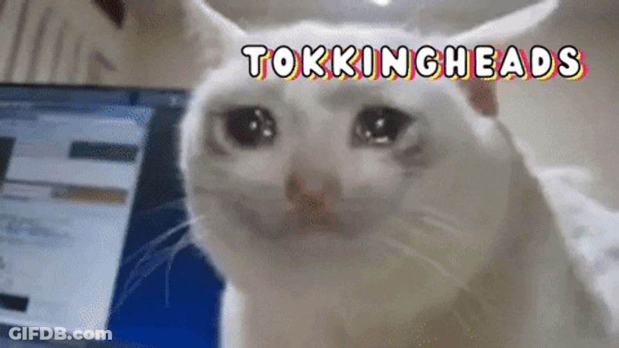 Sad Cat Tokkingheads Lurking Around GIF