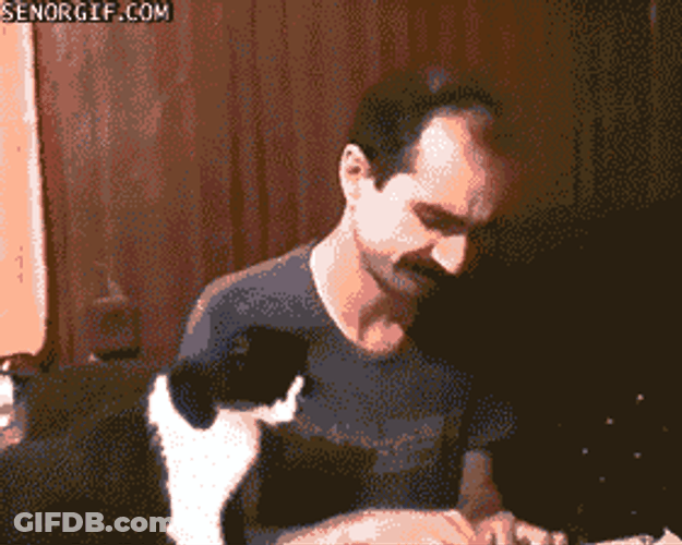 Sad Cat With A Crying Guy GIF