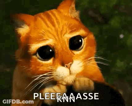 Sad Cat With Pleeknasse GIF