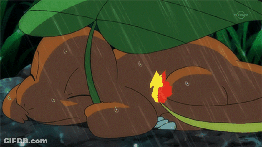 Sad Charmander In A Storm GIF