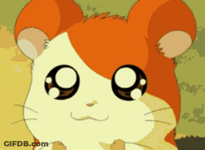Sad Crying Little Hamster Cute Hamtaro GIF