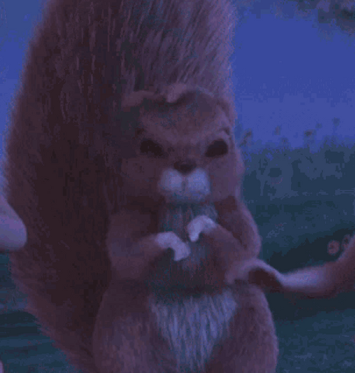 Sad Crying Squirrel GIF