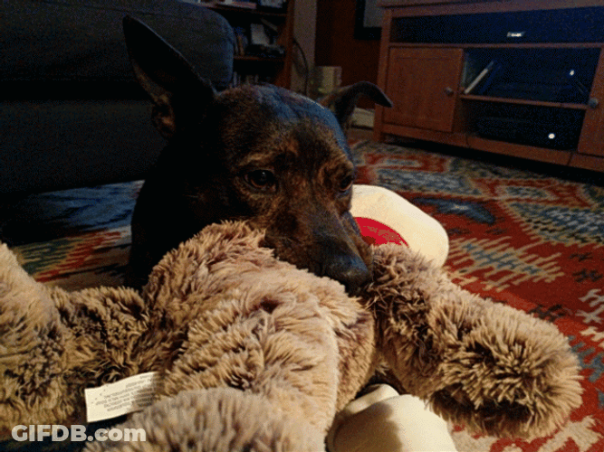 Sad Cute Dog Ears GIF