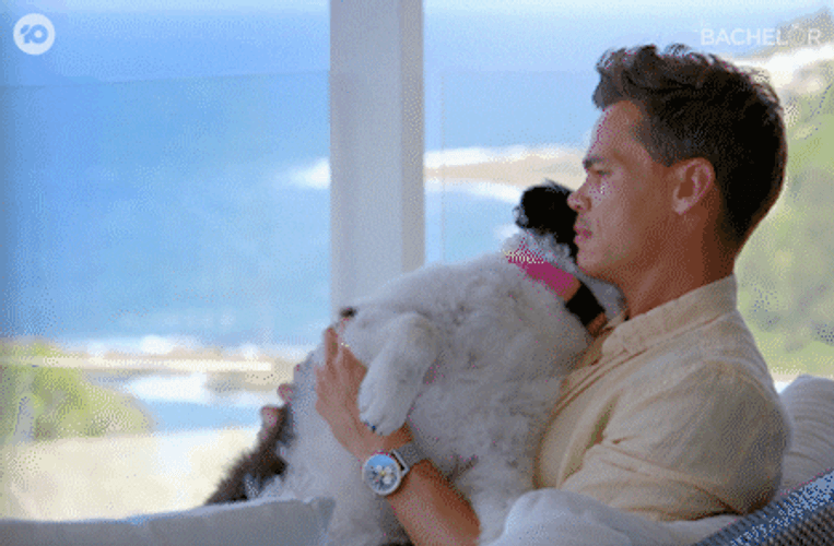 Sad Cute Dog Hugging GIF