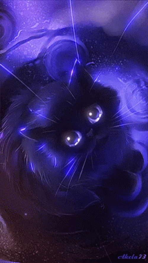 Sad Cute Purple Cat GIF