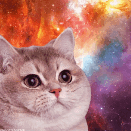 Sad Cute Space Cat Galaxy GIF