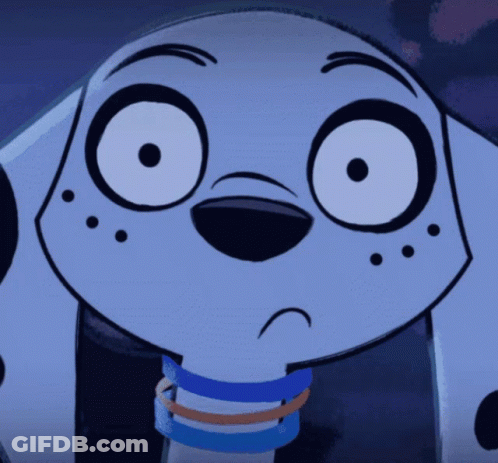 Sad Dalmatian Face Close Up GIF