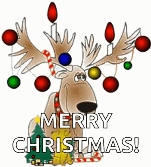 Sad Dog Reindeer Christmas Card GIF