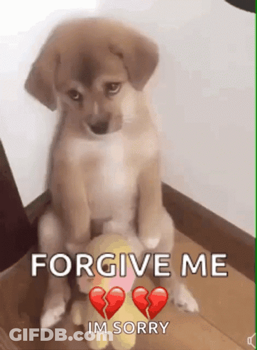 Sad Doggo Forgive Me GIF